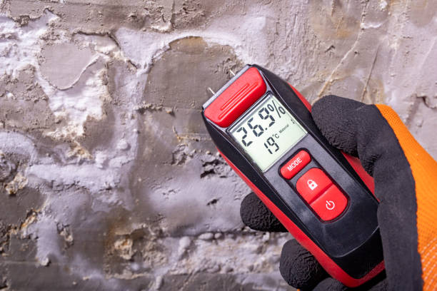 Best Mold Cleaning Services  in Peoria, AZ