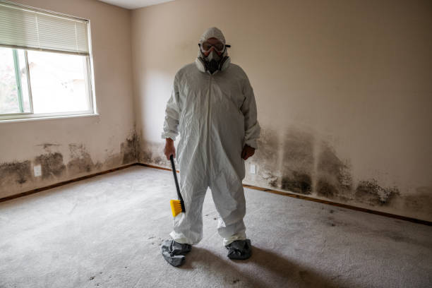 Best Emergency Mold Removal  in Peoria, AZ